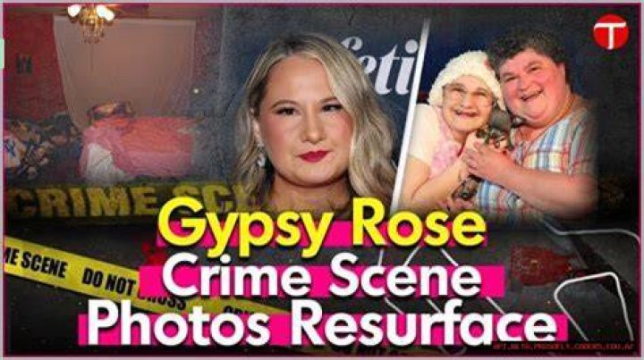 A Deep Dive Into A Notorious Crime