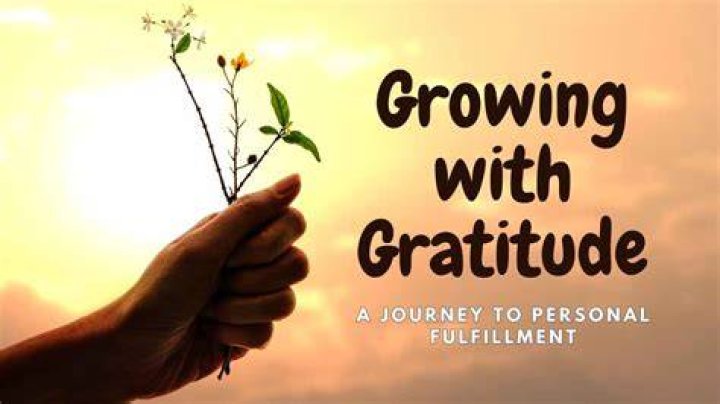 A Journey Of Gratitude And Fulfillment
