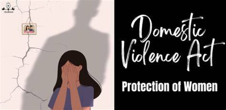 A Journey Towards Understanding Domestic Violence
