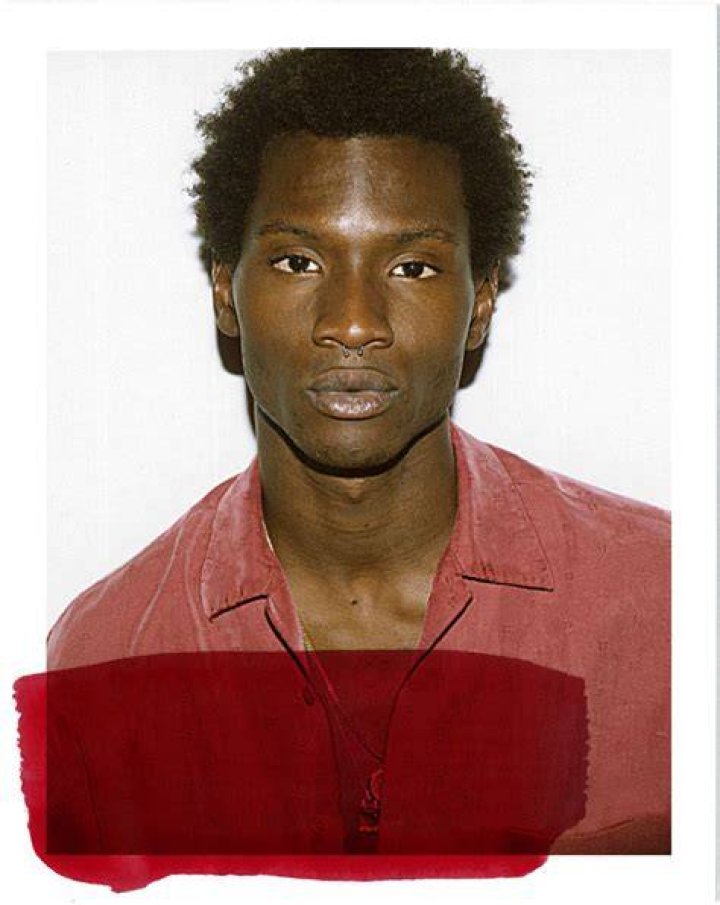 Adonis Bosso Wiki Facts to Know about Model Slick Woods&rsquo; Boyfriend