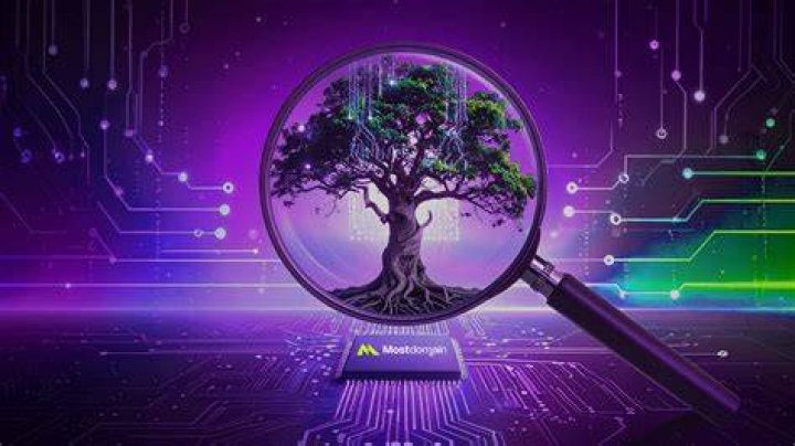 Age, Impact, And Content Insights