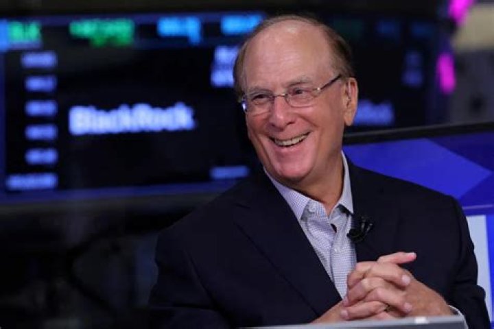 BlackRock CEO The US has a better equity culture than any other country