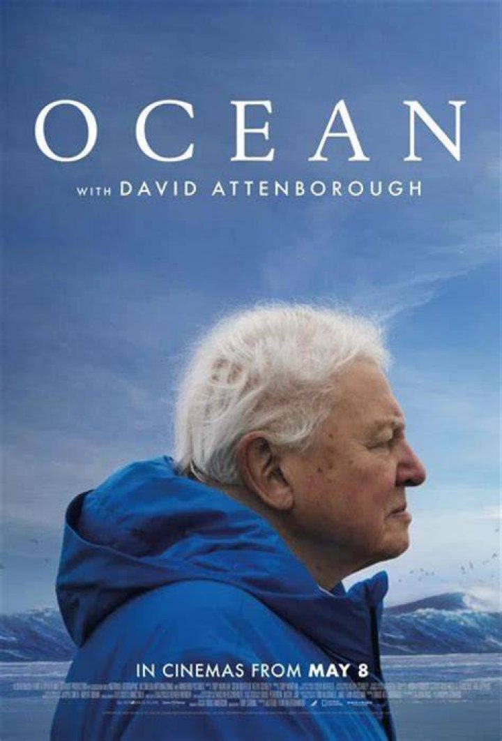 Discoveries And Insights On The Horizon