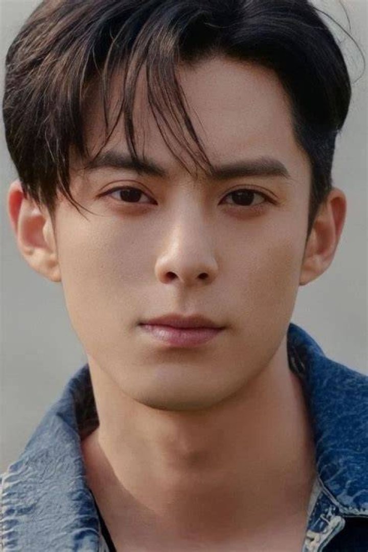 Dylan Wang Wiki Drama Fandom