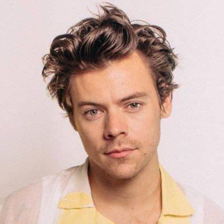 Harry Styles Wiki, Bio, Age, Net Worth, and Other Facts Facts Five