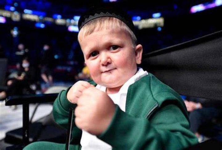Hasbulla Magomedov's Life Expectancy Explored