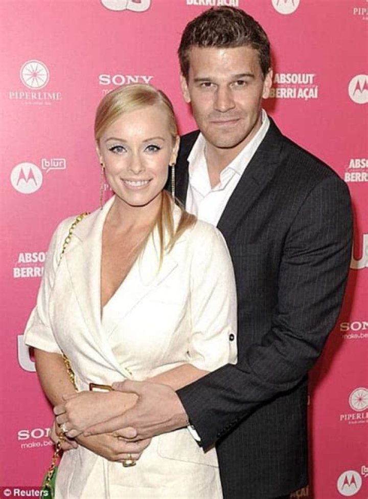 Ingrid Quinn & David Boreanaz Net Worth Basic Reader