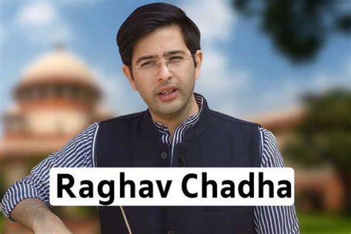 Raghav Chadha The Youngest Rajya Sabha Member News Hamster