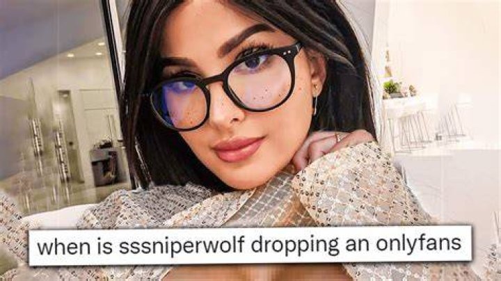 SSSniperWolf Nude OnlyFans Leaks Photo 1819138 Fapopedia