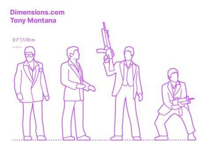 Tony Montana Dimensions & Drawings