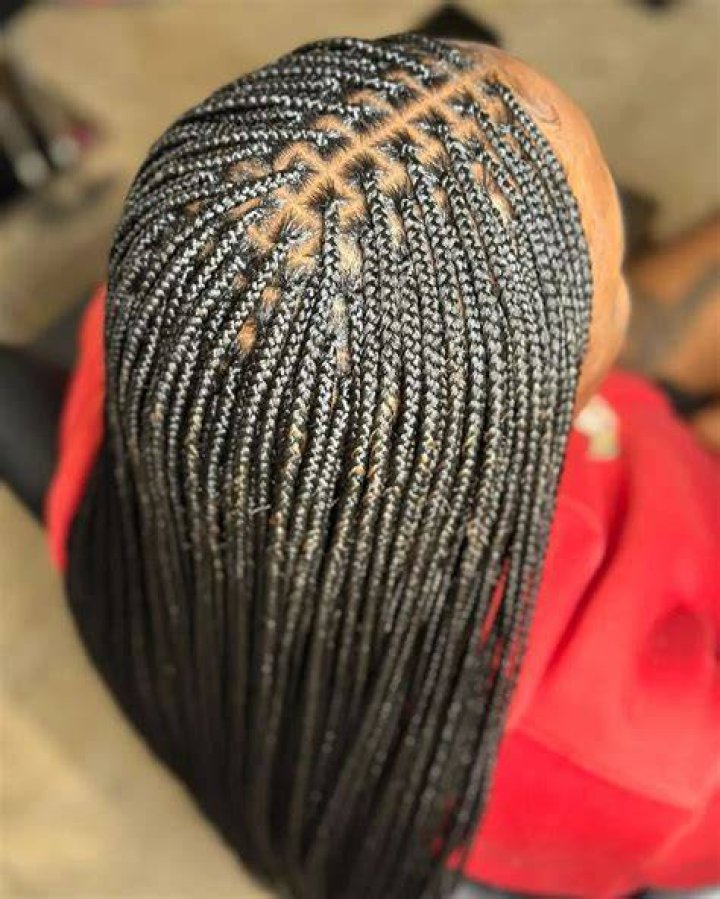 Uncover The Secrets Of Micro Braids Hairstyles: A Journey Of Discovery