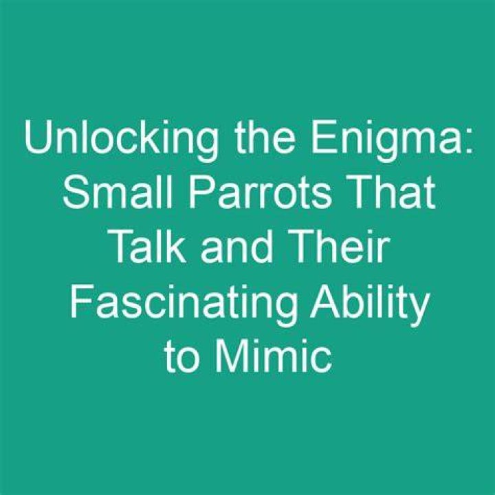 Unlocking The Enigma Of Their Unique Names
