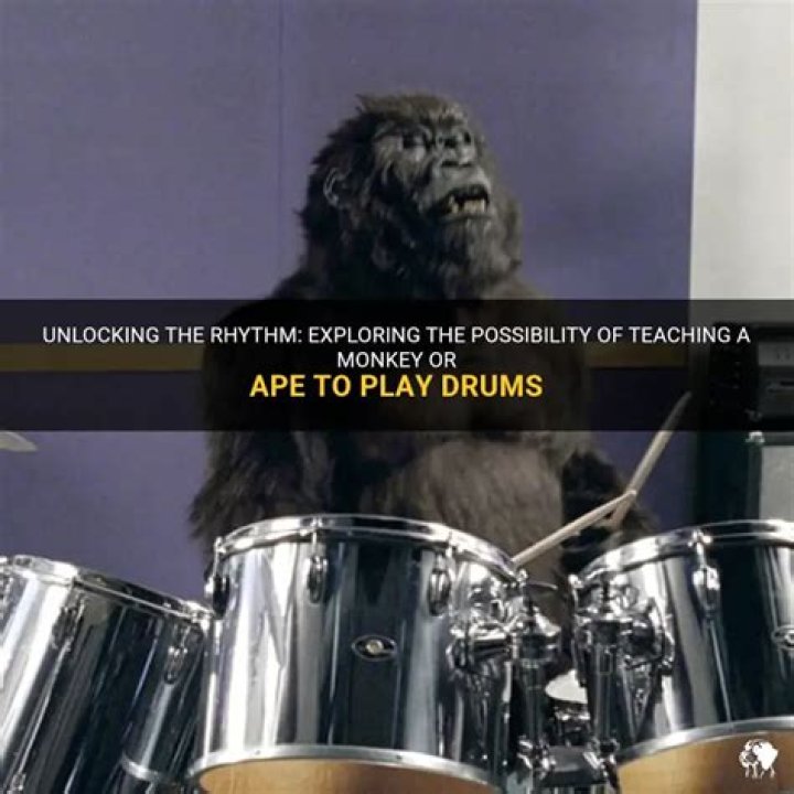 Unlocking The Rhythm Behind The Drums