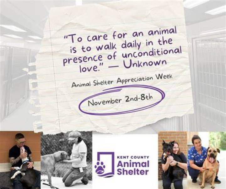 Unlocking The Secrets Of Animal Care And Unconditional Love