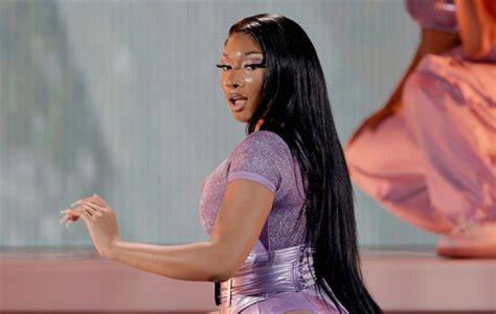 Unveiling Megan Thee Stallion's 2024 Net Worth: Insights And Surprises